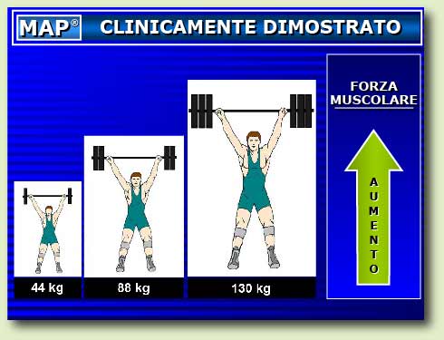 clinically proven to increase muscle strength