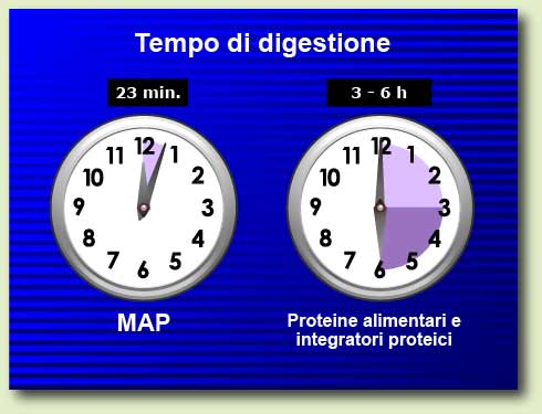 23 minute digestion time for MAP versus 3 to 6 hours for dietary proteins